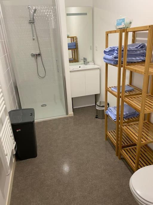 Appartement Aux Portes De Vannes Séné Exterior foto